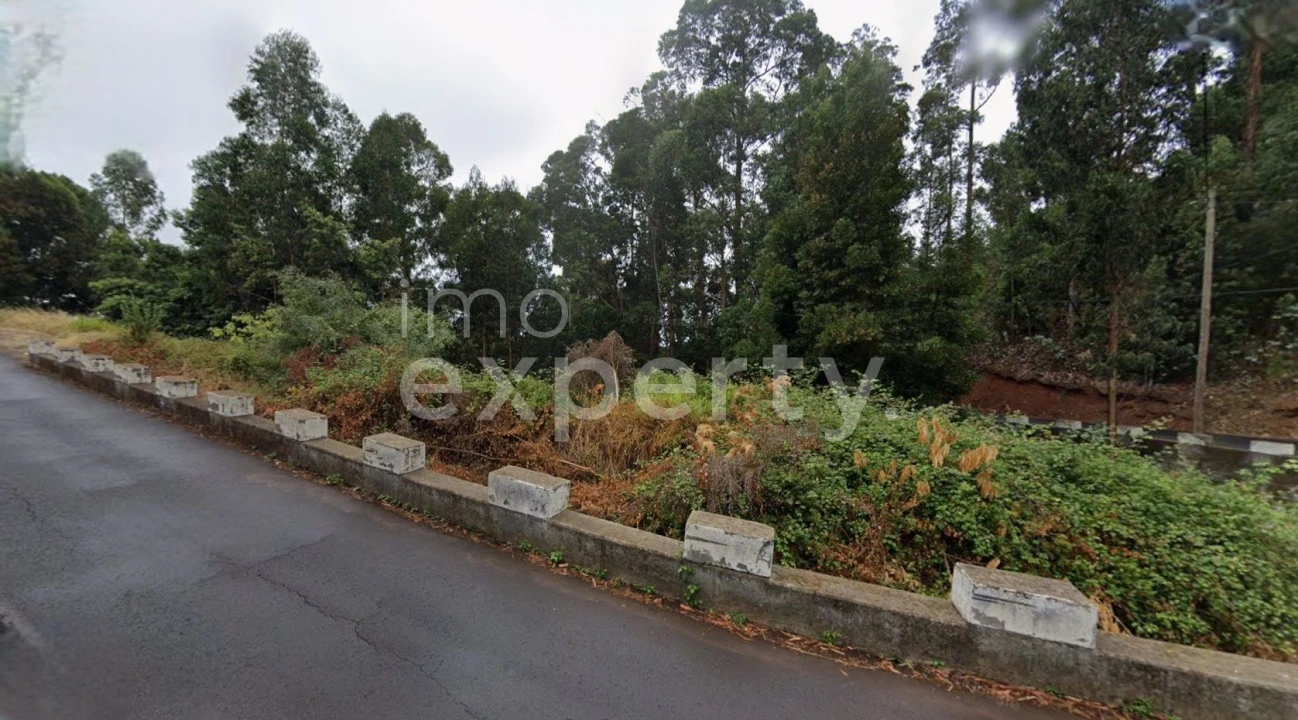 Terreno para Venda em Gaula Foto 2