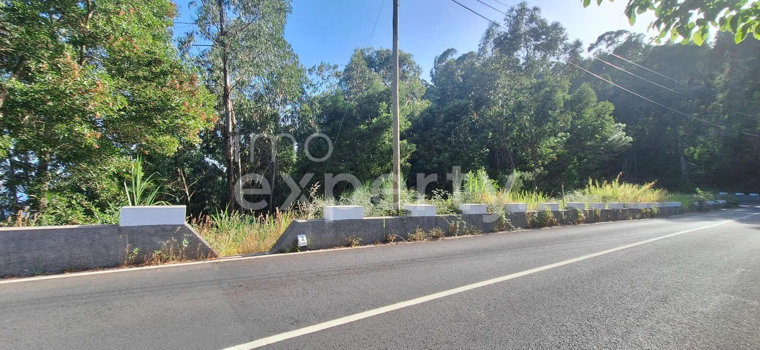Terreno para Venda em Gaula Foto 18