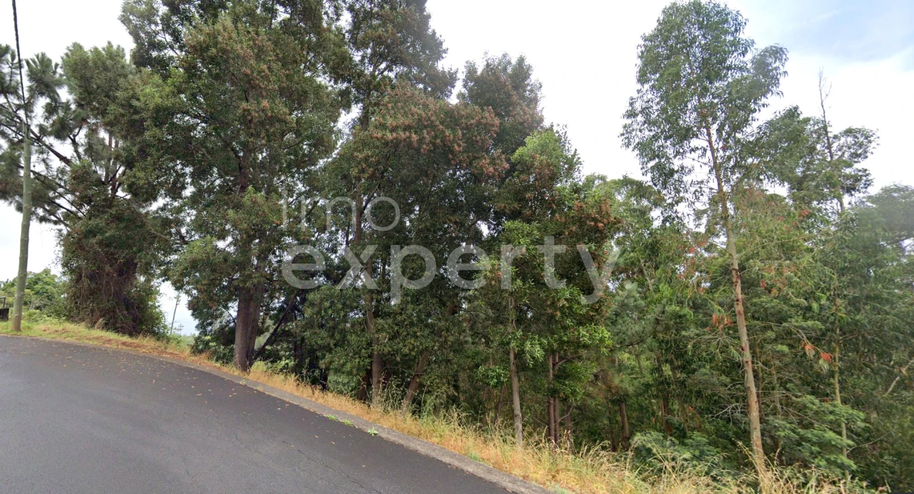 Terreno para Venda em Gaula Foto 1