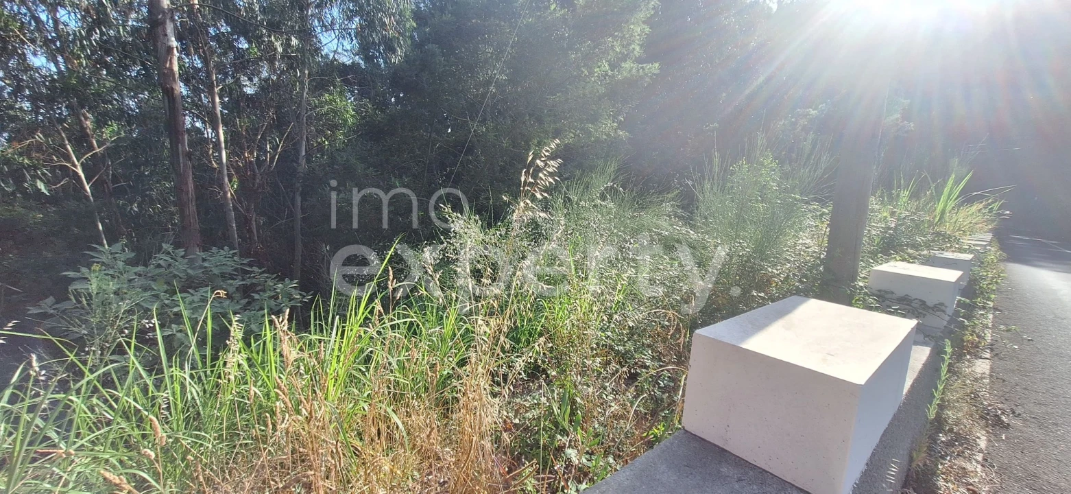 Terreno para Venda em Gaula Foto 15