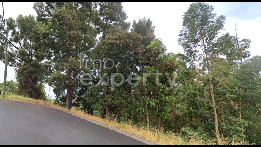 Terreno para Venda em Gaula