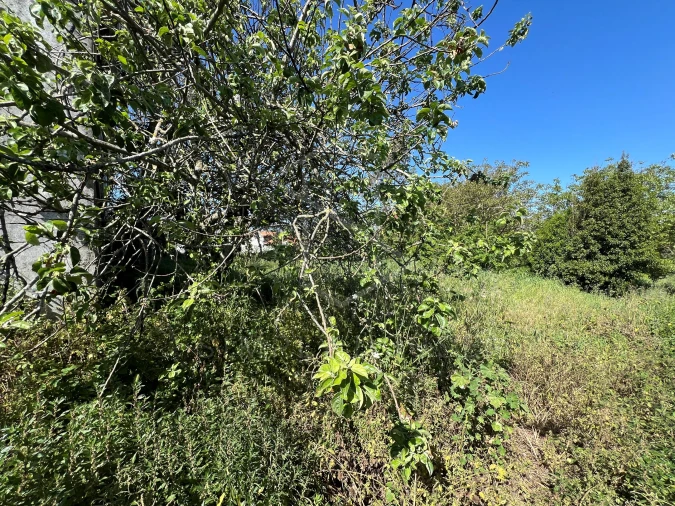 Moradia T3 para Venda em Benedita Foto 45