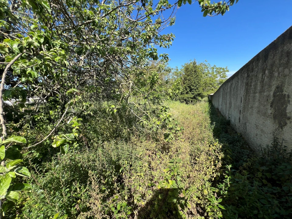Moradia T3 para Venda em Benedita Foto 44