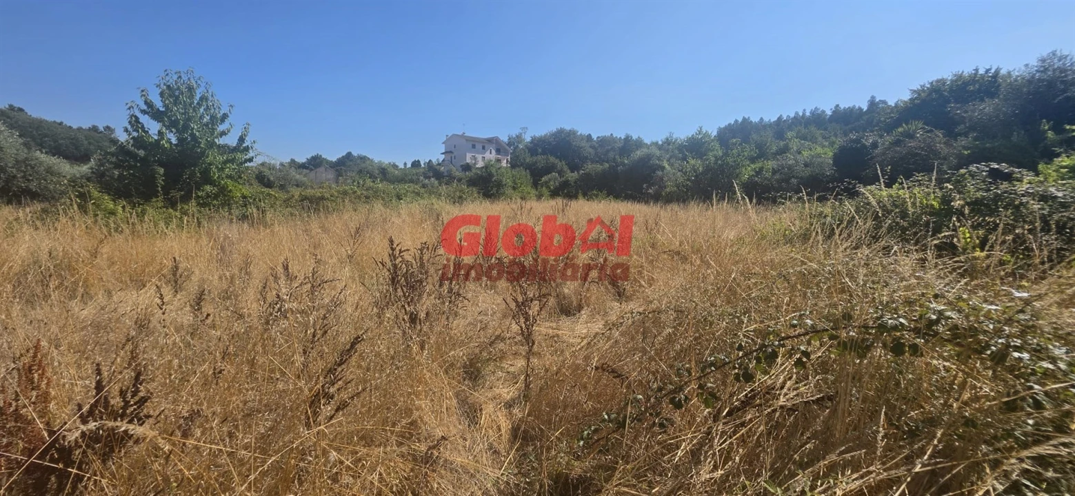 Terreno para Venda em São Pedro de France Foto 4