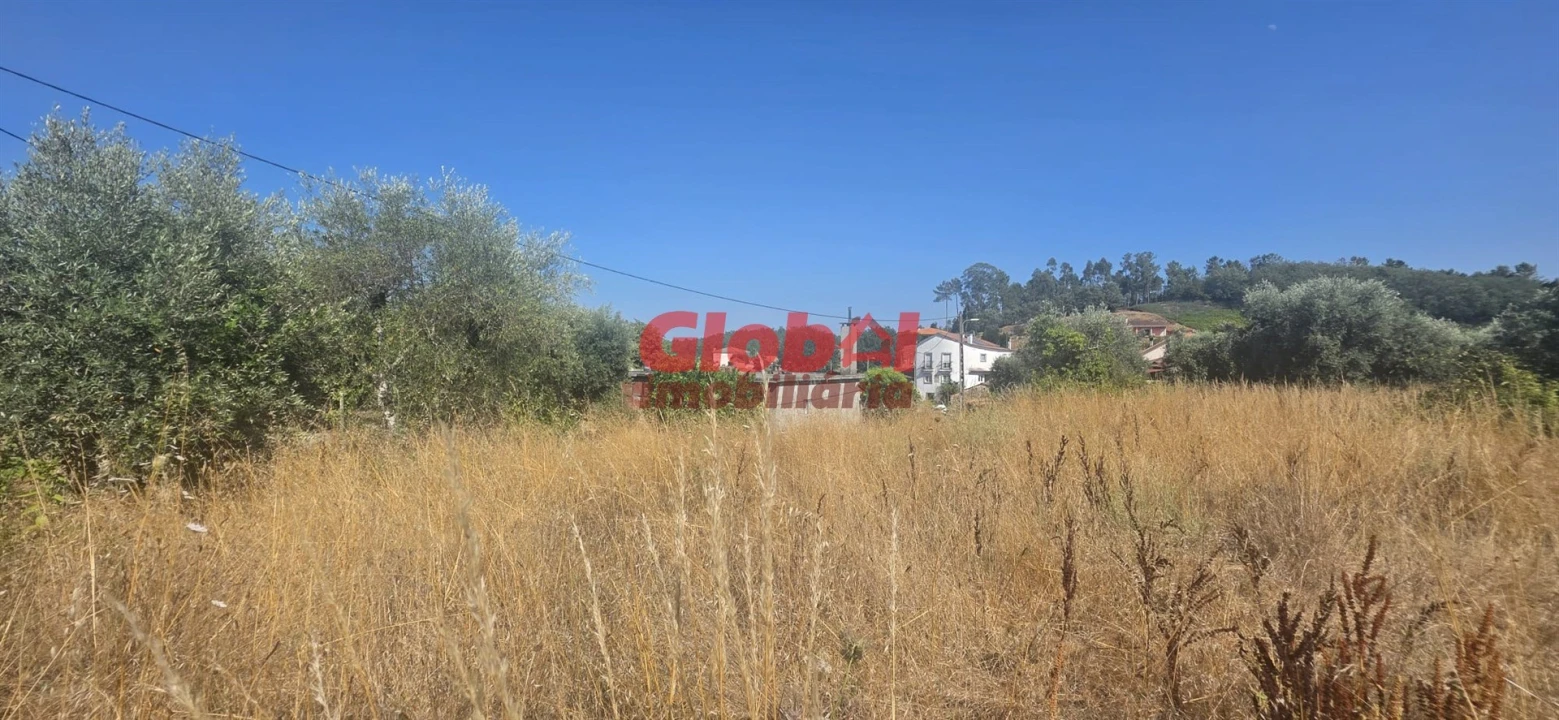 Terreno para Venda em São Pedro de France Foto 2