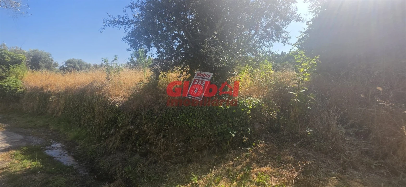 Terreno para Venda em São Pedro de France Foto 5