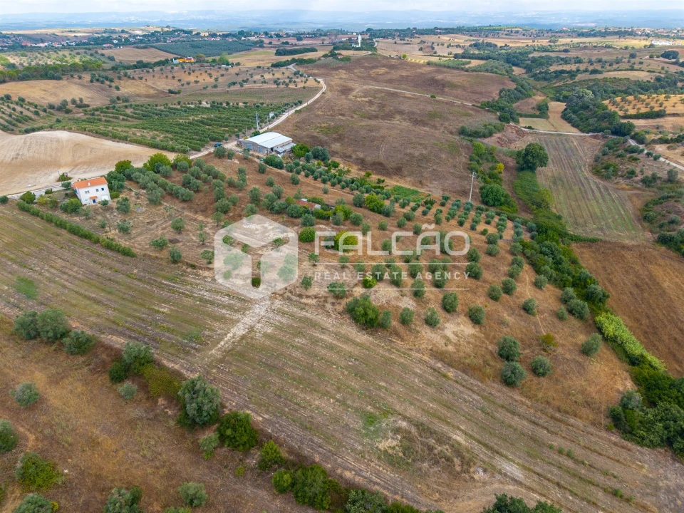 Terreno Misto para Venda em Abitureiras Foto 21