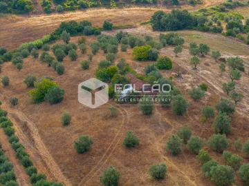 Terreno Misto para Venda em Abitureiras