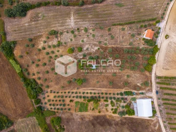 Terreno Misto para Venda em Abitureiras