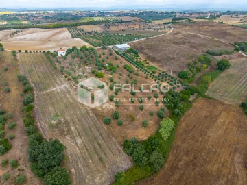 Terreno Misto para Venda em Abitureiras