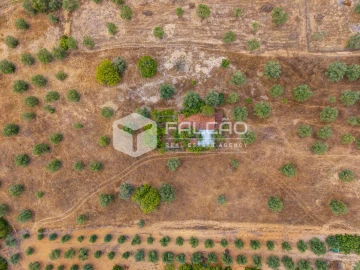 Terreno Misto para Venda em Abitureiras