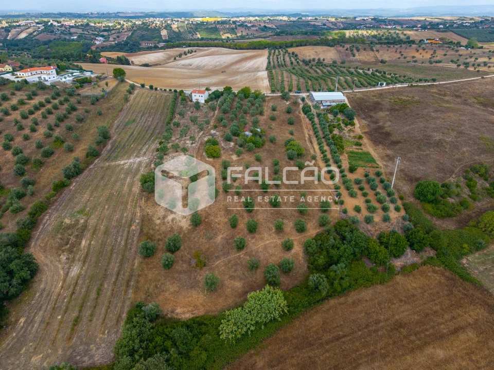 Terreno Misto para Venda em Abitureiras Foto 18