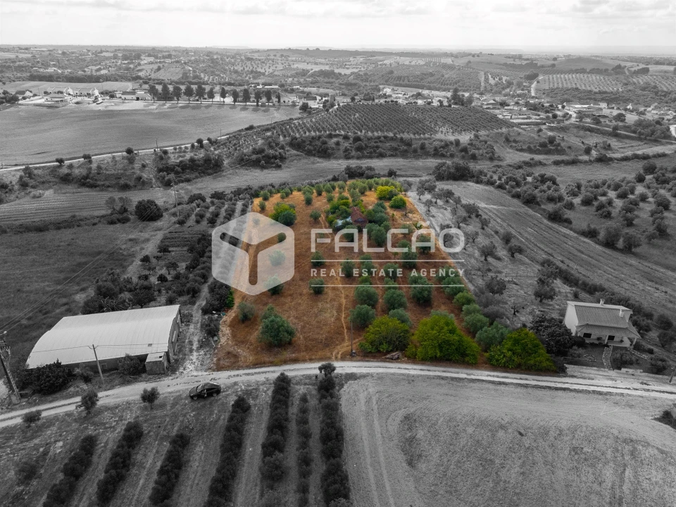 Terreno Misto para Venda em Abitureiras Foto 1