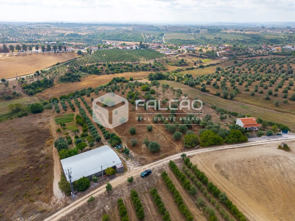 Terreno Misto para Venda em Abitureiras Foto 9