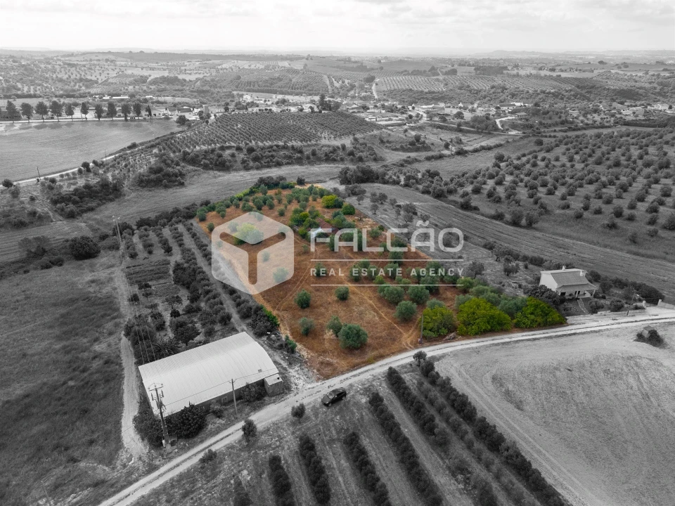 Terreno Misto para Venda em Abitureiras Foto 8