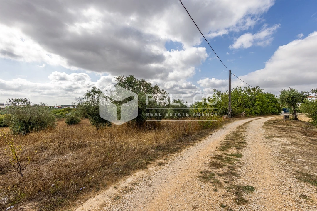 Terreno Misto para Venda em Abitureiras Foto 3