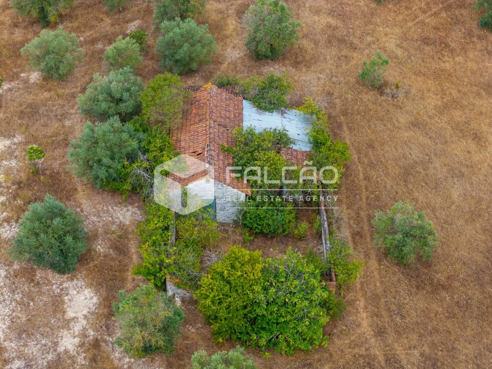 Terreno Misto para Venda em Abitureiras Foto 23