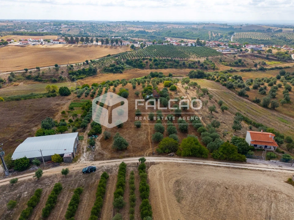 Terreno Misto para Venda em Abitureiras Foto 5