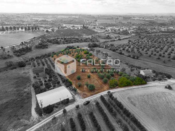 Terreno Misto para Venda em Abitureiras Foto 8