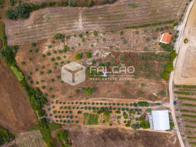 Terreno Misto para Venda em Abitureiras Foto 25
