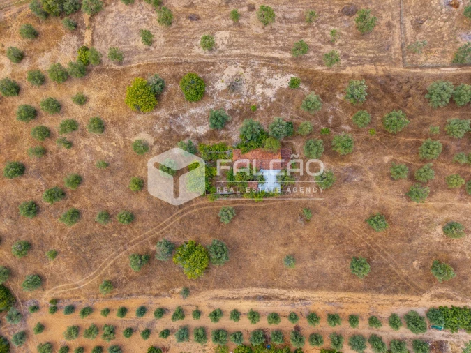Terreno Misto para Venda em Abitureiras Foto 27