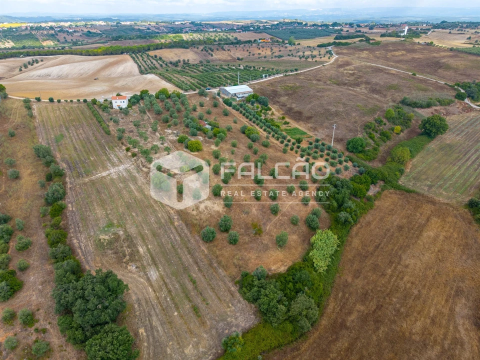 Terreno Misto para Venda em Abitureiras Foto 20