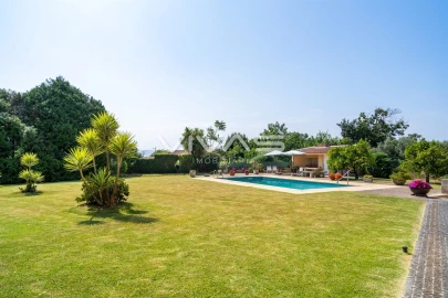 Moradia T3 para Venda em Palmeira