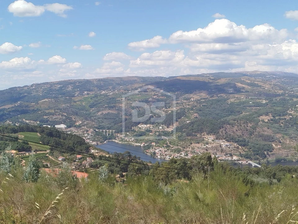 Terreno para Venda em Cinfães Foto 6