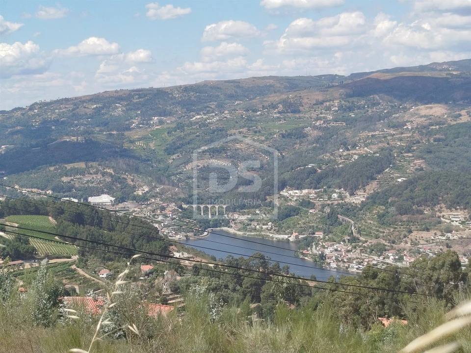 Terreno para Venda em Cinfães Foto 2