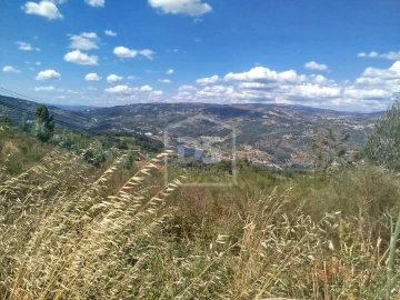 Terreno para Venda em Cinfães