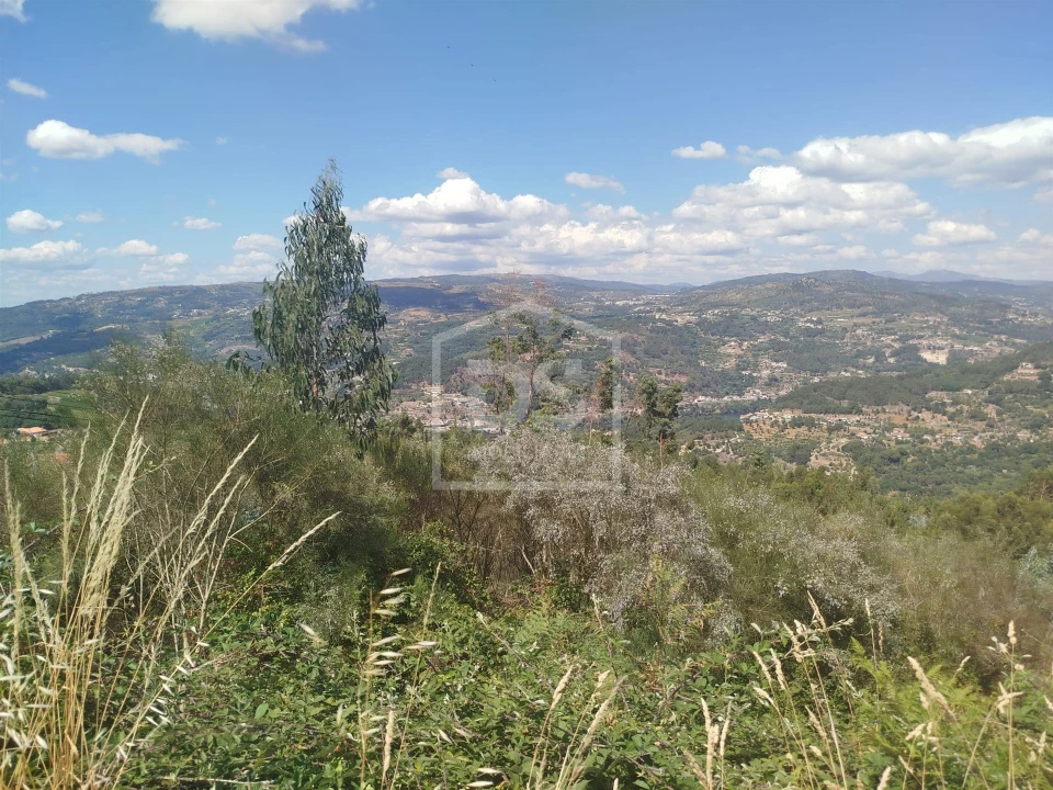Terreno para Venda em Cinfães Foto 5