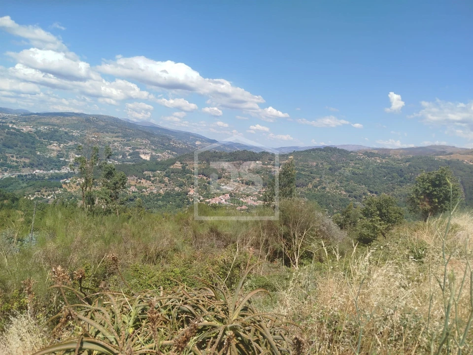 Terreno para Venda em Cinfães Foto 7