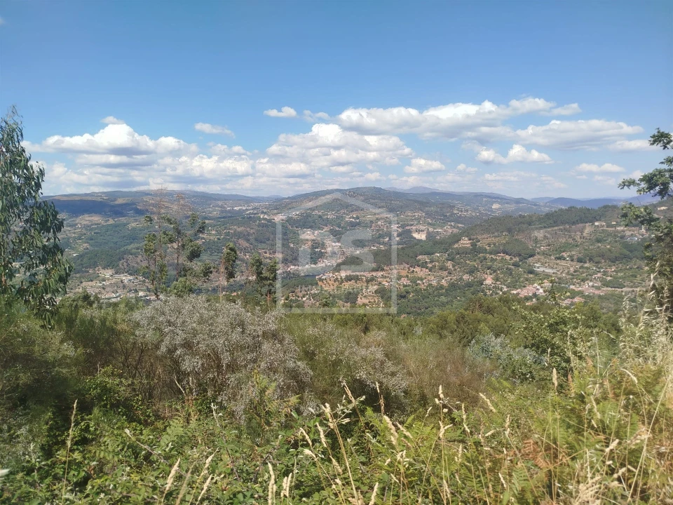 Terreno para Venda em Cinfães Foto 4