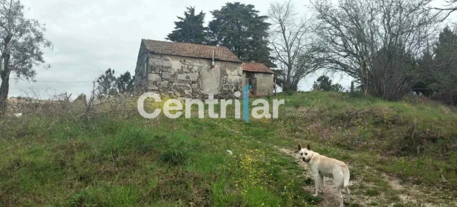Quinta T0 para Venda em Mangualde, Mesquitela e Cunha Alta Foto 24