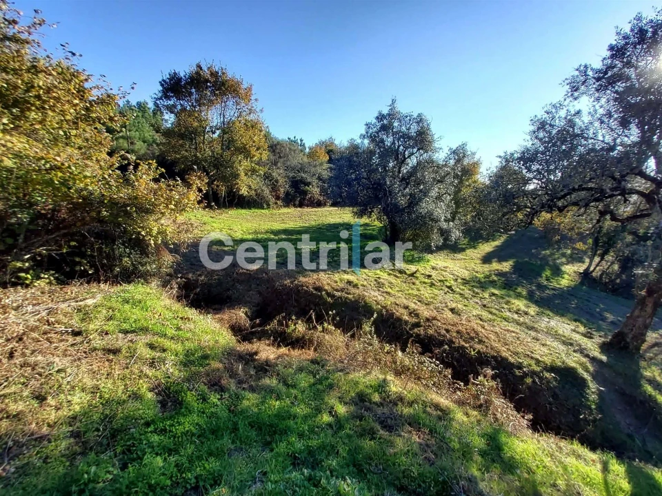 Quinta T0 para Venda em Mangualde, Mesquitela e Cunha Alta Foto 20