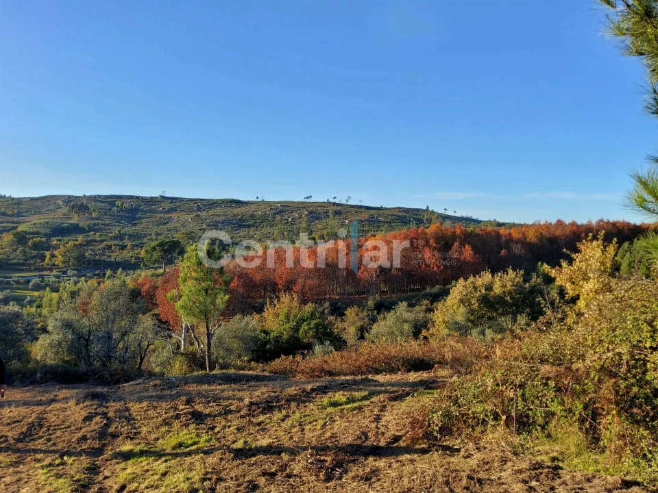 Quinta T0 para Venda em Mangualde, Mesquitela e Cunha Alta Foto 13