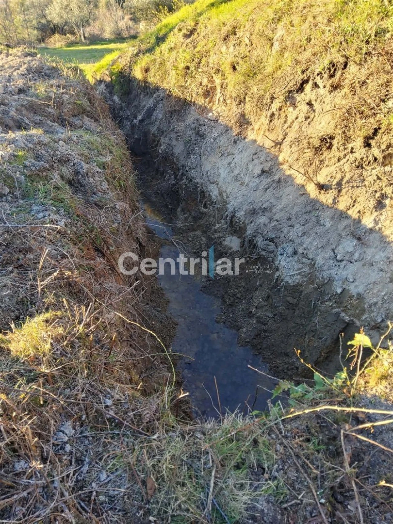 Quinta T0 para Venda em Mangualde, Mesquitela e Cunha Alta Foto 17