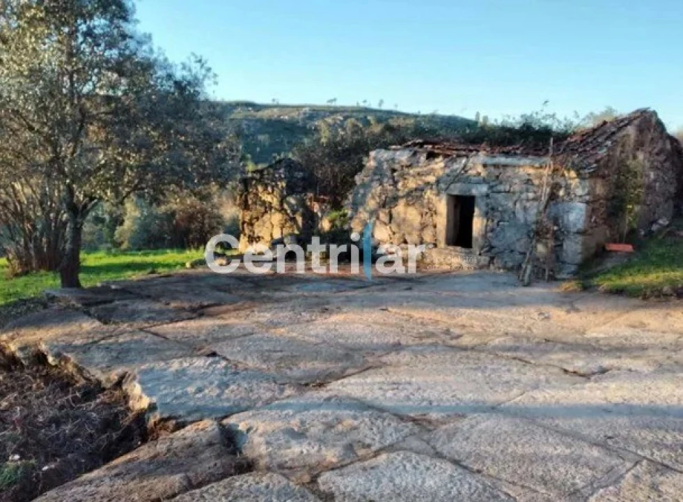 Quinta T0 para Venda em Mangualde, Mesquitela e Cunha Alta Foto 15