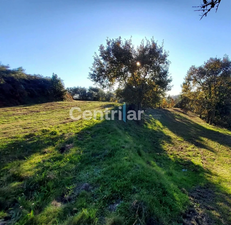Quinta T0 para Venda em Mangualde, Mesquitela e Cunha Alta Foto 19