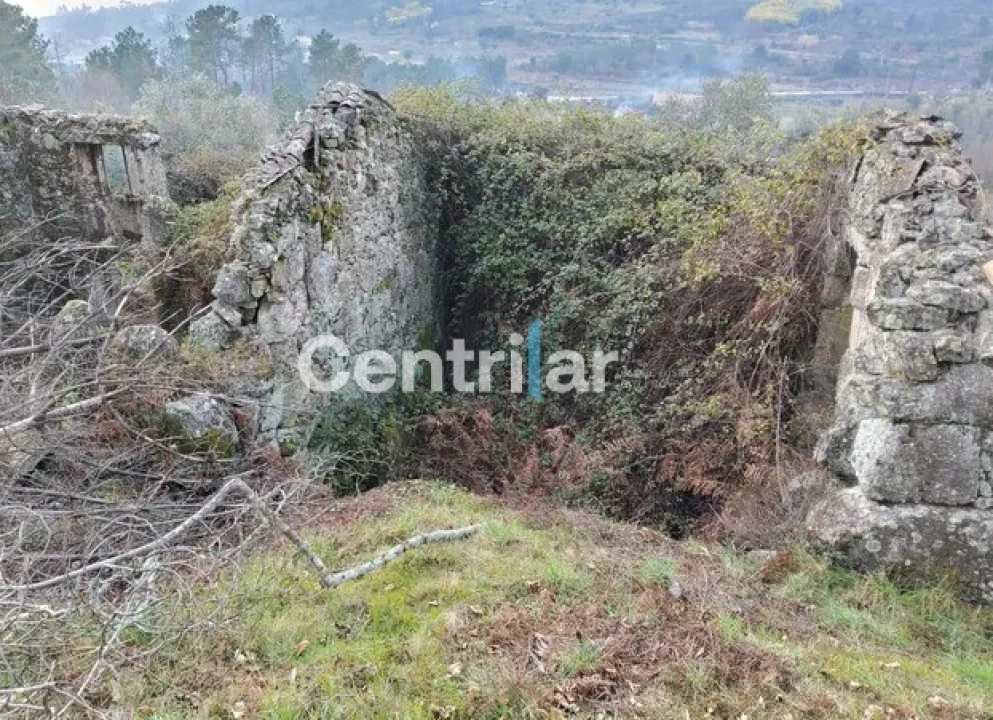 Quinta T0 para Venda em Mangualde, Mesquitela e Cunha Alta Foto 19