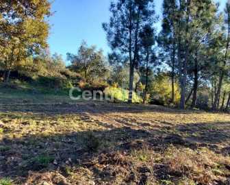 Quinta T0 para Venda em Mangualde, Mesquitela e Cunha Alta