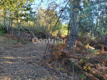 Quinta T0 para Venda em Mangualde, Mesquitela e Cunha Alta