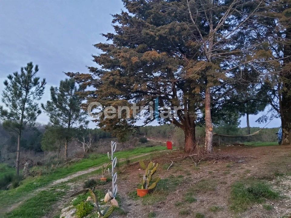 Quinta T0 para Venda em Mangualde, Mesquitela e Cunha Alta Foto 3