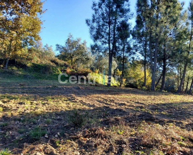 Quinta T0 para Venda em Mangualde, Mesquitela e Cunha Alta Foto 27