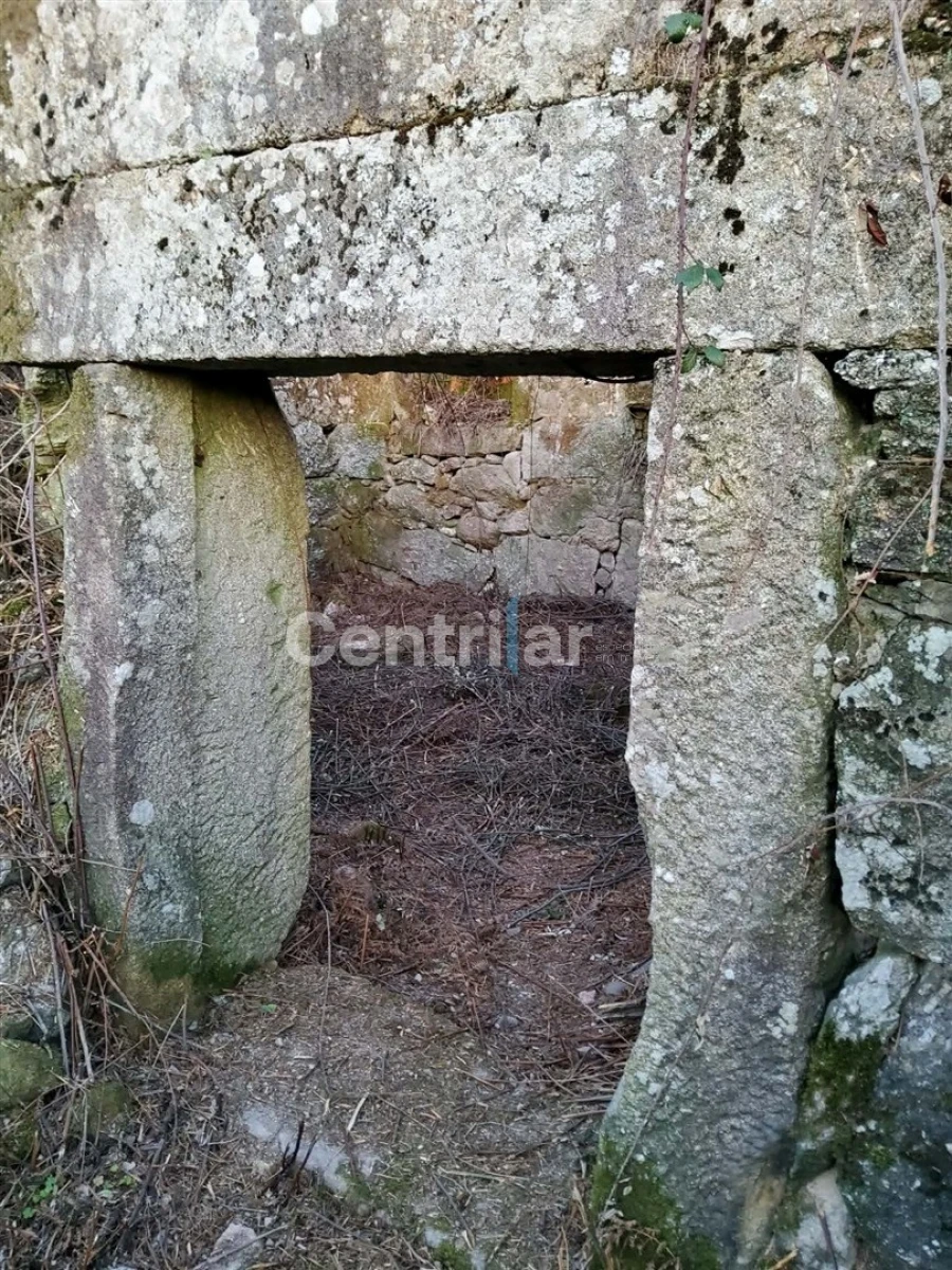 Quinta T0 para Venda em Mangualde, Mesquitela e Cunha Alta Foto 23
