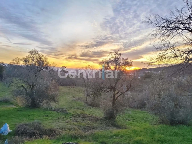 Quinta T0 para Venda em Mangualde, Mesquitela e Cunha Alta Foto 2