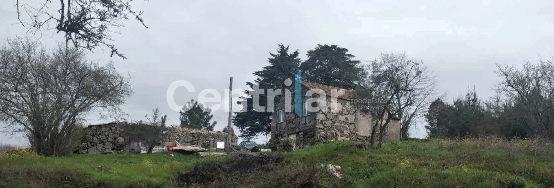 Quinta T0 para Venda em Mangualde, Mesquitela e Cunha Alta Foto 15