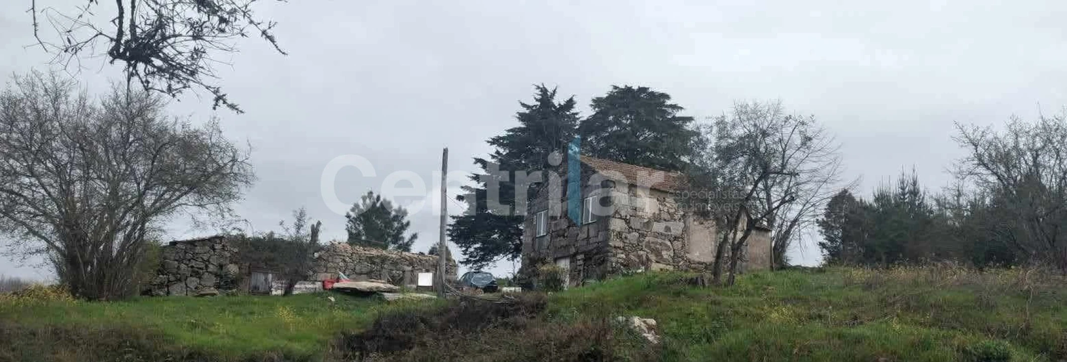 Quinta T0 para Venda em Mangualde, Mesquitela e Cunha Alta Foto 30