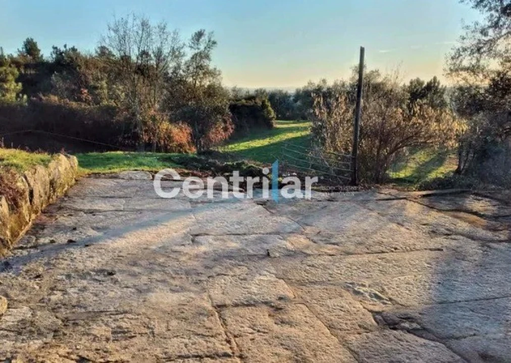 Quinta T0 para Venda em Mangualde, Mesquitela e Cunha Alta Foto 21