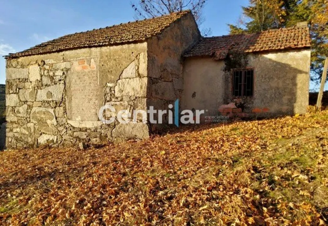 Quinta T0 para Venda em Mangualde, Mesquitela e Cunha Alta Foto 5